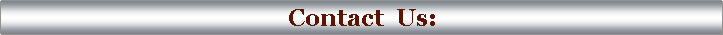 Text Box: Contact  Us: